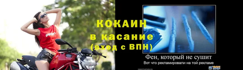 дарнет шоп  Белокуриха  блэк спрут ссылки  КОКАИН 99% 